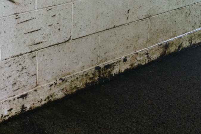 Carwash wall